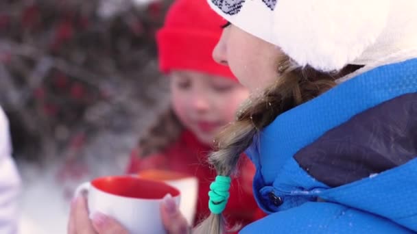 Winter Drinken Thee Het Bos — Stockvideo