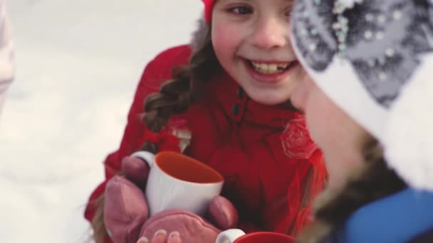 Зимовий Напій Чай Лісі — стокове відео