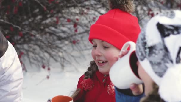 Winter Drinken Thee Het Bos — Stockvideo