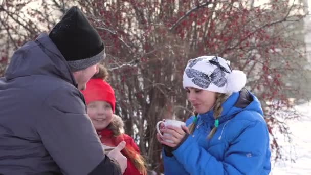 Winter Drinken Thee Het Bos — Stockvideo