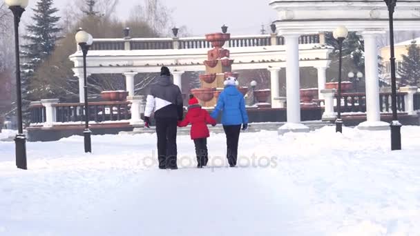 冬天的家庭正在路上 — 图库视频影像