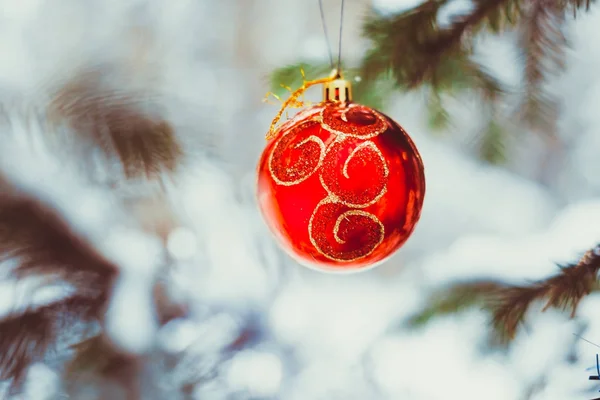 Christmas ball on the branches fir. — Stock Photo, Image