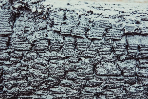 Textura zuhelnatělého dřeva — Stock fotografie