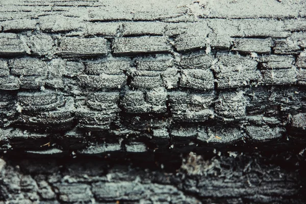Текстура обугленного дерева — стоковое фото