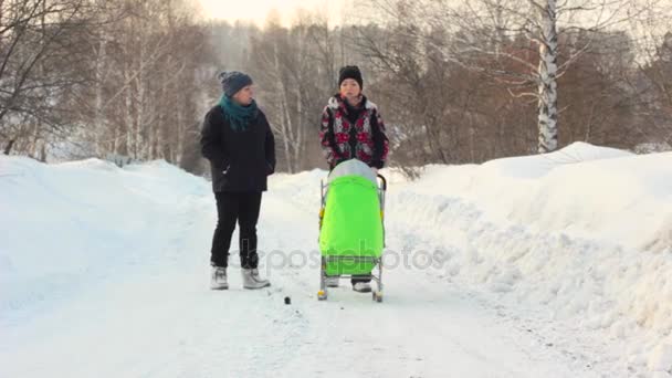 Люди ходят по зимним лесам — стоковое видео