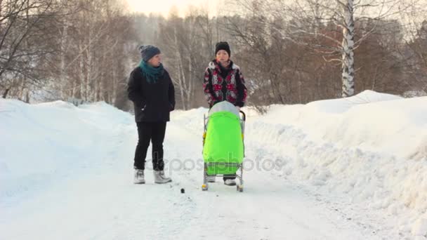 As pessoas andam nos bosques de inverno — Vídeo de Stock