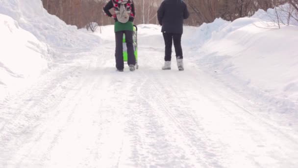 Personer gå i vinter skogen — Stockvideo