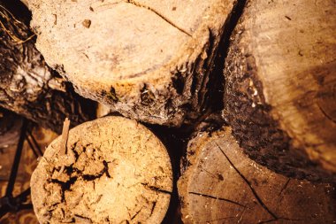 Eski yıpranmış ahşap doku kesit günlüğü ile kesmek