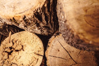 Eski yıpranmış ahşap doku kesit günlüğü ile kesmek