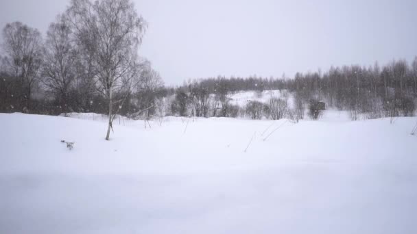 Det snöar utanför staden — Stockvideo