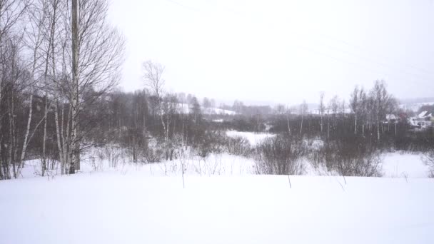 Şehir Dışında Kar Yağıyor — Stok video