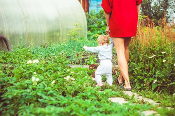 Het kind leert om op het gras te lopen — Stockfoto
