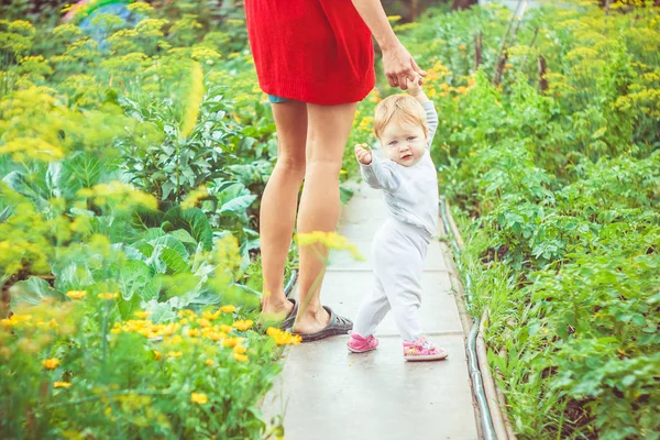 The child learns to walk on the grass — Stock Photo, Image