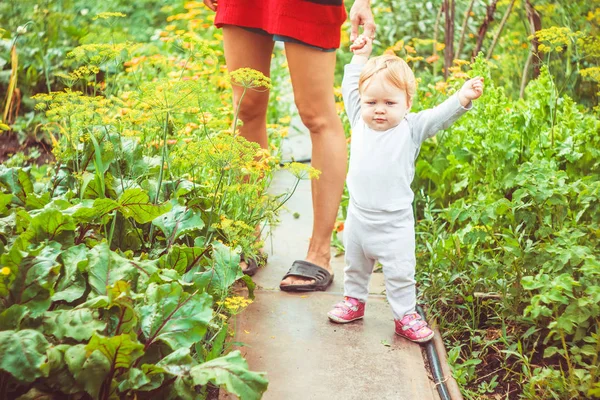 Het kind leert om op het gras te lopen — Stockfoto