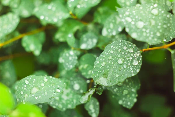 damla su gökyüzünde