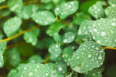 damla su gökyüzünde