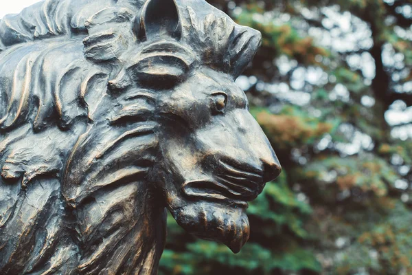 Статуя лева в міському парку — стокове фото