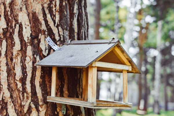 Birdhouse en el bosque en un árbol —  Fotos de Stock