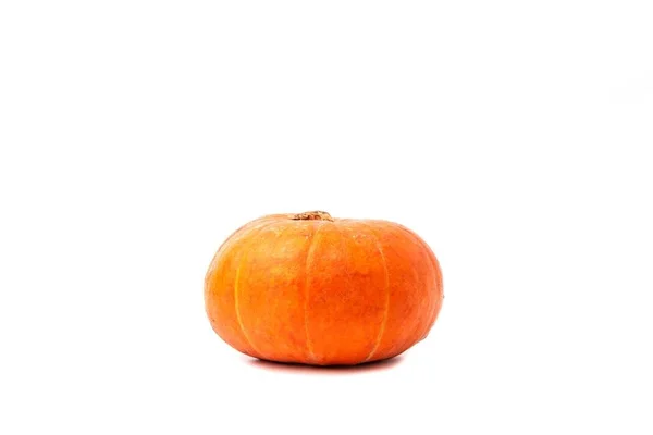 Calabaza naranja aislada sobre fondo blanco —  Fotos de Stock