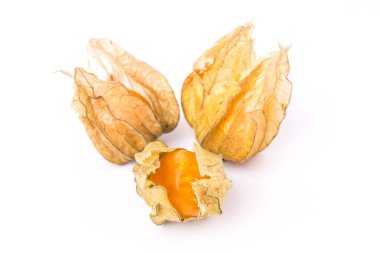 beyaz arkaplanda izole edilmiş olgun bitki örtüsü