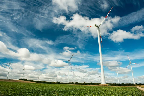 Vindkraftspark mot mulen himmel — Stockfoto