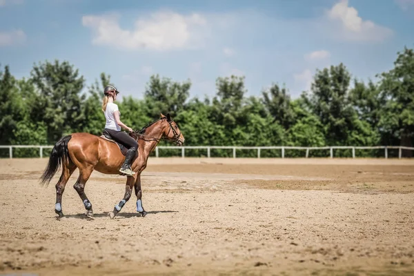 Female riding a horse in outdoor equestrian arena — Stock Photo, Image