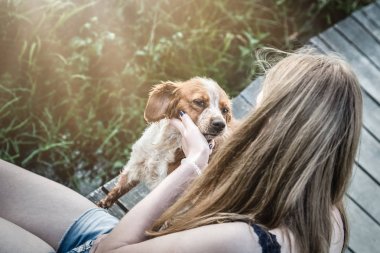 Genç kadın ve onun brittany spaniel köpek evde beslenen hayvan. Dostluk ve lo