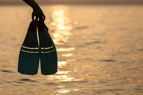 Silhouette di pinne mano al tramonto sul mare — Foto Stock