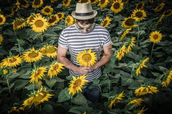 Mladý muž i slunečnicová pole — Stock fotografie