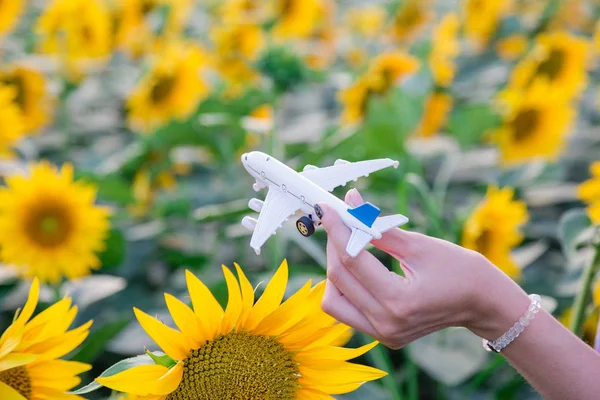 야외에서 비행기 장난감을 들고 여성 — 스톡 사진