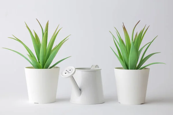 Casa vasos de plantas e regador pode contra fundo branco conceito criativo mínimo. Espaço para cópia . — Fotografia de Stock