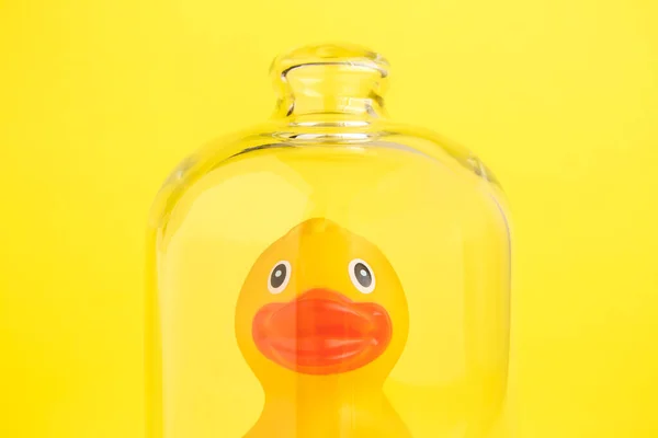 Rubber duck in isolation from covid-19 under glass cover abstract.