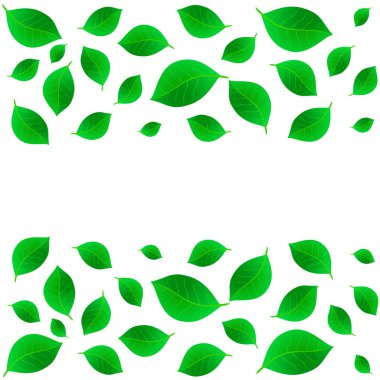 Kartpostal için şablon. Vektör çizim tasarım için