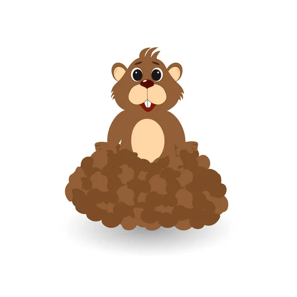 Marmot saliendo del agujero. Tarjeta Día de la Marmota — Vector de stock