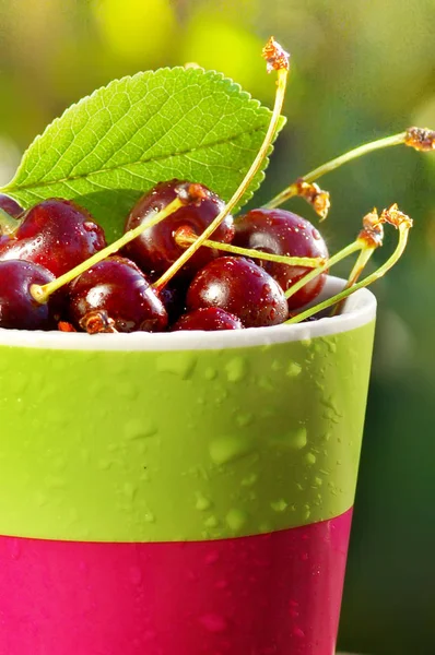 bir yaz sabahı Olgun Kiraz