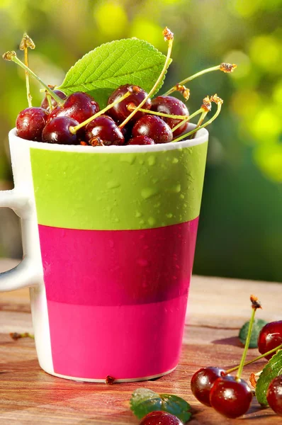 bir yaz sabahı Olgun Kiraz