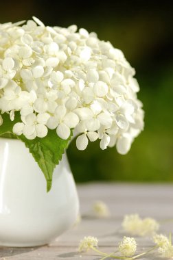 Sürahi, beyaz çiçekler, yaz