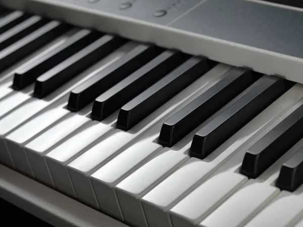 Piano keys. Full-sized keyboard.