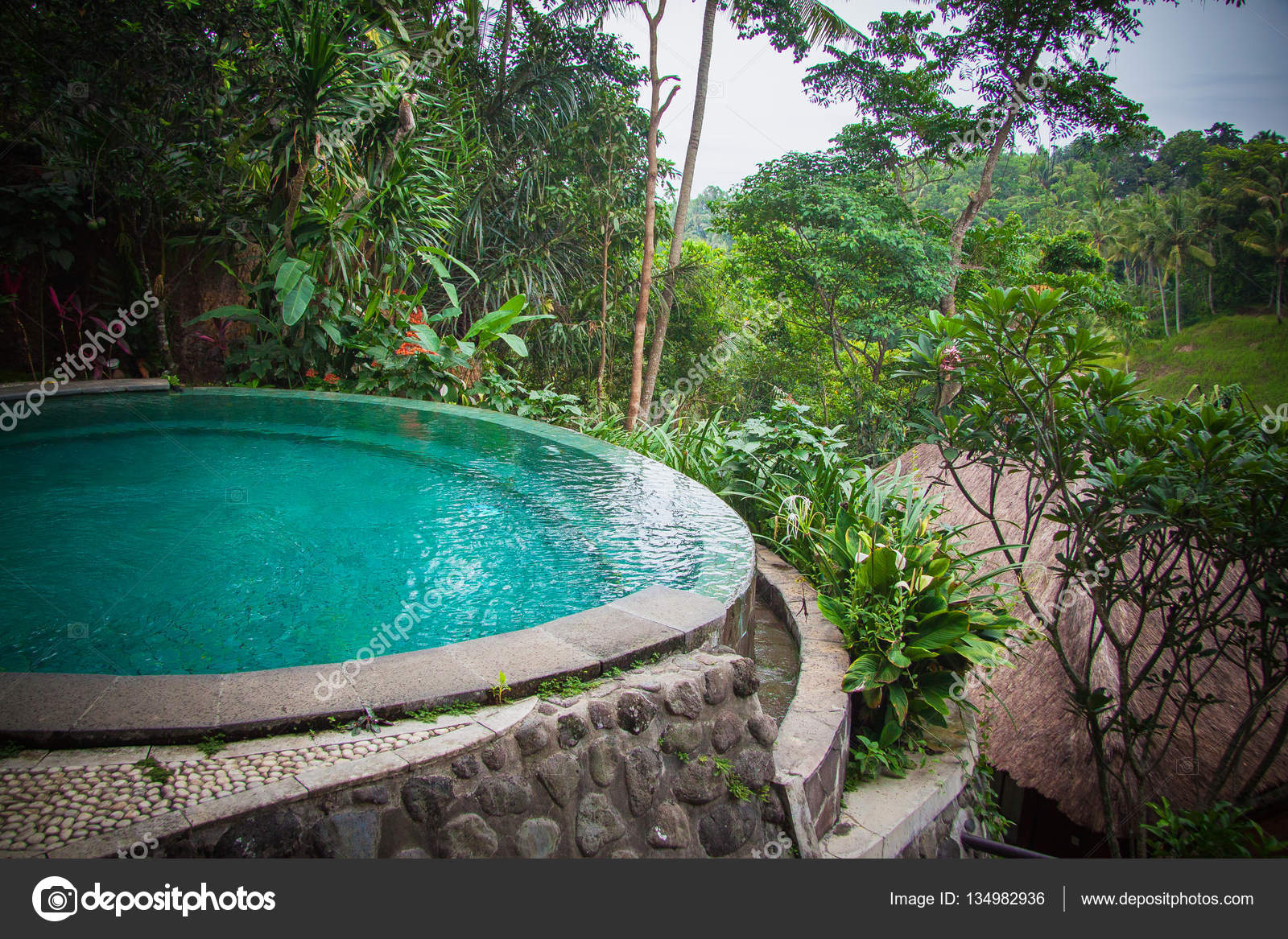 Piscine à Débordement Bali Photographie Transurfer 134982936
