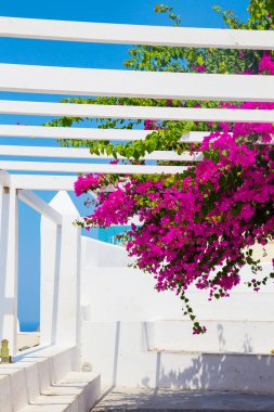 şaşırtıcı Santorini, Saint Irini ada manzaraları