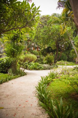 pastoral villa ve tropikal junglein Bali, Endonezya yollarında