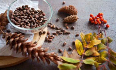 Sedir kozalakları ve Sibirya, sağlıklı gıda fındık