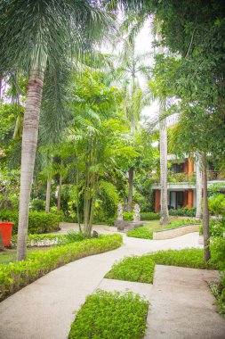 pastoral villa ve tropikal junglein Bali, Endonezya yollarında