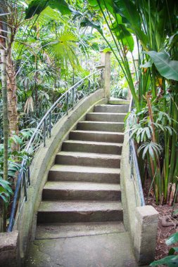 Bali dili Hint mimarisi tapınak ve yeşil orman