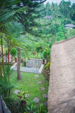 pastoral havuzda güzel Bli Adası, Endonezya