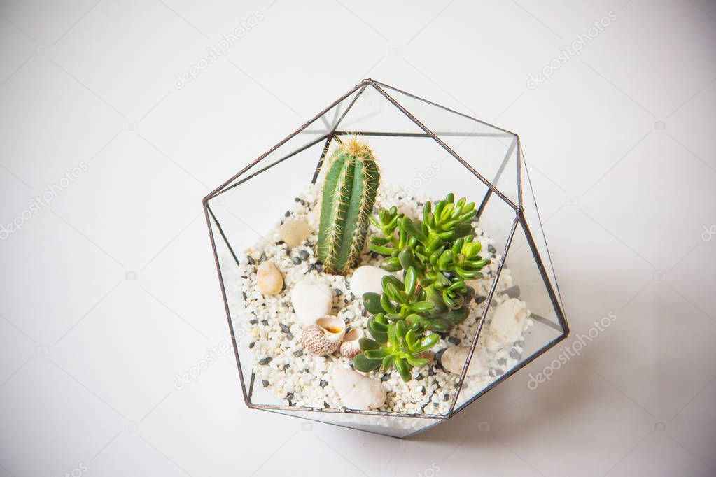 glass florarium for plants
