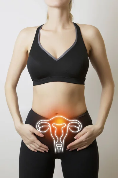 Kadın Vücudunda Genito Üriner Sistem Görüntüleme — Stok fotoğraf