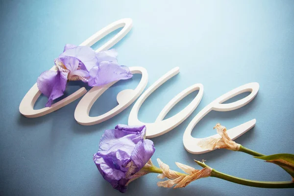 plastic letters LOVE with fllowers