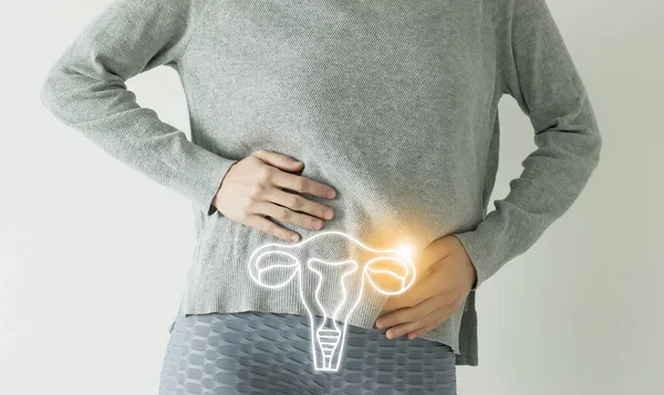 Frau Lässiger Grauer Kleidung Mit Verdauungsbeschwerden Hervorgehobene Vektorvisualisierung Der Gebärmutter — Stockfoto