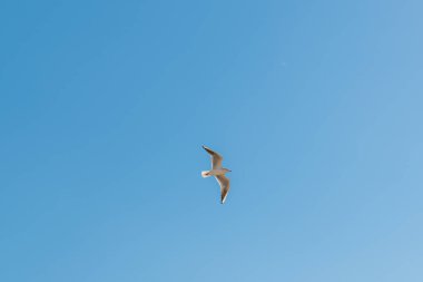 Güneşli bir günde güzel gökyüzü bulutlar